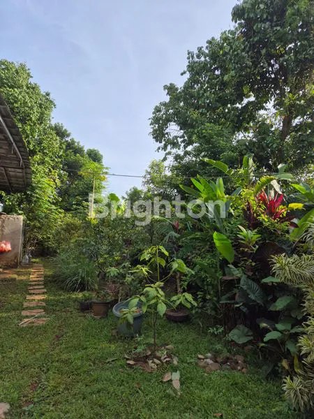 image DIJUAL RUMAH + TANAH LUAS SIAP HUNI DI CISEENG, BOGOR (4)