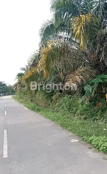 image TANAH KOMERSIAL 1562M² SHM DI JL. TUAH SAKATO (1)