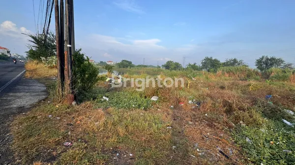 Gambar Property TANAH DI PAKAL BENOWO