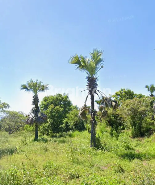 image JUAL TANAH DI KARANGASEM TULAMBEN BALI (1)