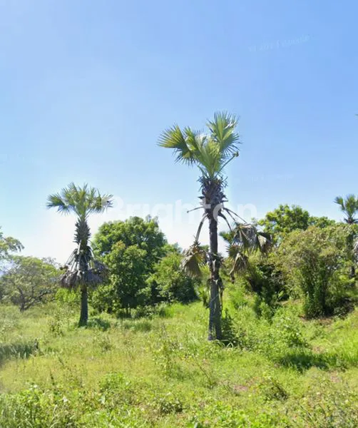 image JUAL TANAH DI KARANGASEM TULAMBEN BALI (1)