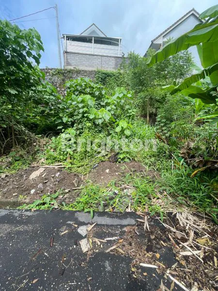 image INVESTASI TANAH MURAH LOKASI PREMIUM DENPASAR (3)