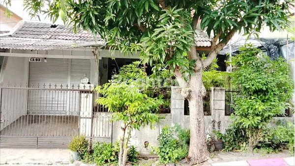 image DIJUAL 1 SET (2 UNIT) RUMAH NYAMBUNG (1)