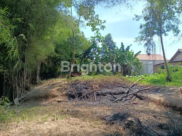 image DIJUAL CEPAT TANAH STRATEGIS PARUNG  (5)