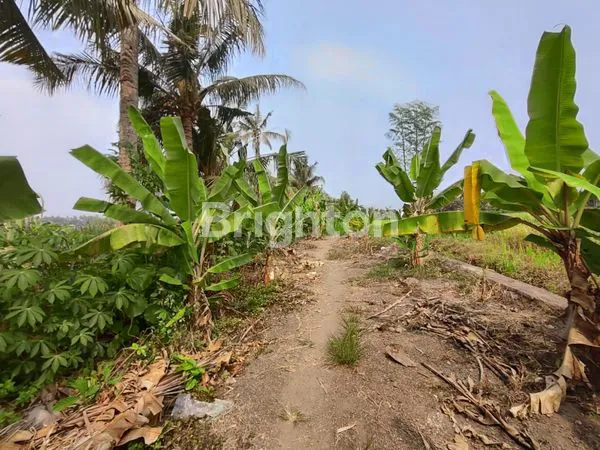 image KAVLING SABA GIANYAR, AKSES MUDAH (5)