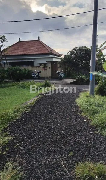 image TANAH PREMIUM DIDAERAH PARIWISATA UBUD BALI (1)