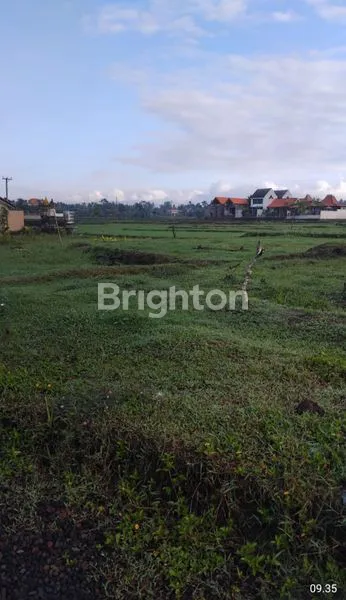 image TANAH PREMIUM DIDAERAH PARIWISATA UBUD BALI (5)