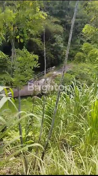 image TANAH DI MARGA TABANAN VIEW SUNGAI NATURAL SURROUNDING ,HIGH POTENTIAL (1)