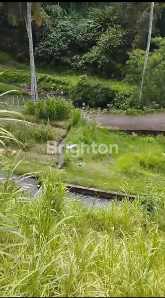 image TANAH DI MARGA TABANAN VIEW SUNGAI NATURAL SURROUNDING ,HIGH POTENTIAL (2)