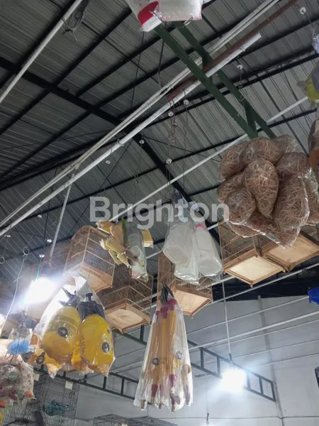 image GUDANG PERTOKOAN DI SEMARANG BARAT (6)