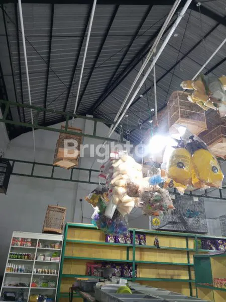 image GUDANG PERTOKOAN DI SEMARANG BARAT (7)