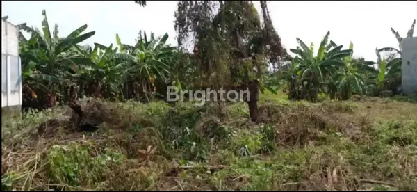 image DIJUAL MURAH TANAH STRATEGIS, DESA KUWUKAN -SURABAYA (8)