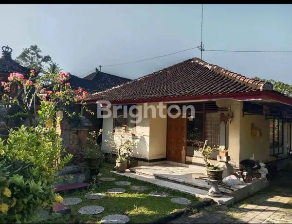 image DIJUAL RUMAH 700 JUTA JALAN UTAMA GILIMANUK (3)