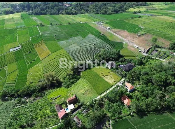 image DIJUAL TANAH YEH GANGGA 485 JUTA PER ARE (3)