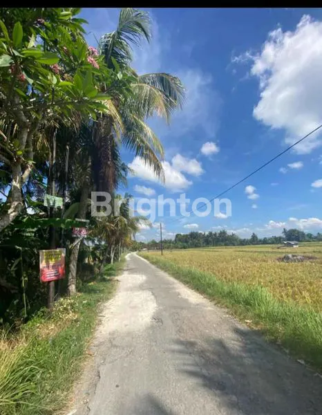 image DIJUAL TANAH YEH GANGGA 485 JUTA PER ARE (4)