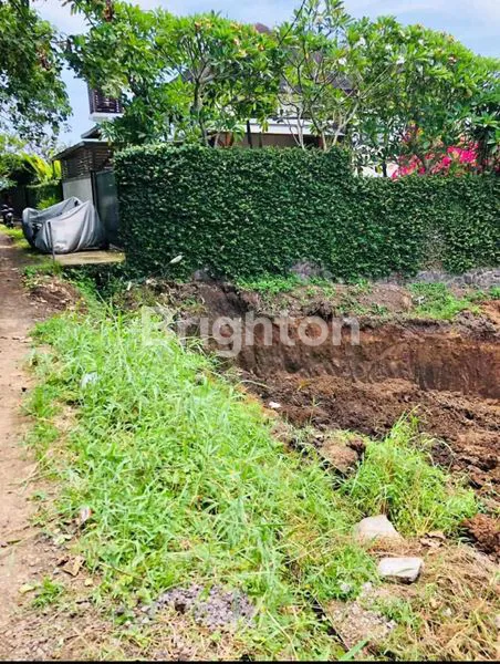 image DIJUAL TANAH YEH GANGGA 485 JUTA PER ARE (1)