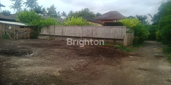 image DI JUAL TANAH PEKARANGAN (3)