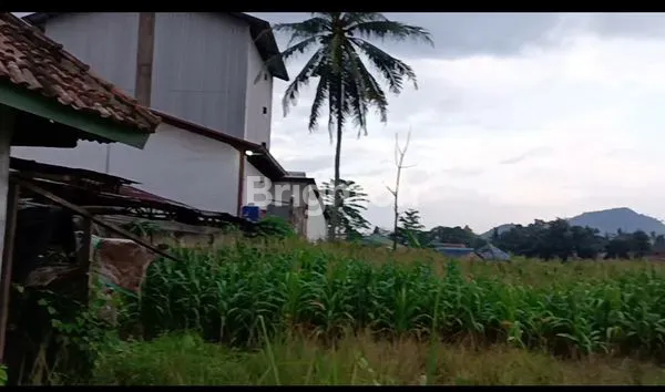 image FOR SALE – TANAH INDUSTRI STRATEGIS BANDAR LAMPUNG \\UD83D\\UDEA8 (8)