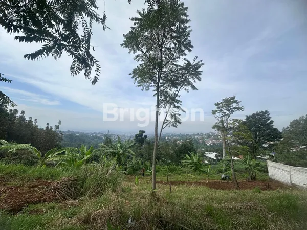 image TANAH 547M² SHM DI CIKADUT - CIMENYAN DENGAN VIEW BANDUNG (3)