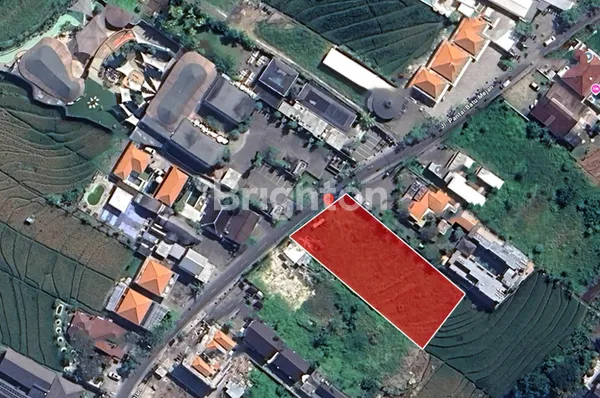 SEWA TANAH CANGGU 16ARE - KAWASAN PREMIUM JALAN PANTAI BATU MEJAN – CANGGU | TS7303169