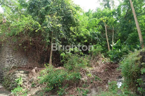 image JUAL TANAH NUSA DUA (4)