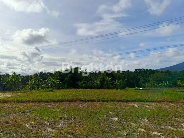 image TANAH DENGAN PEMANDANGAN ALAM PENEBEL TABANAN (2)