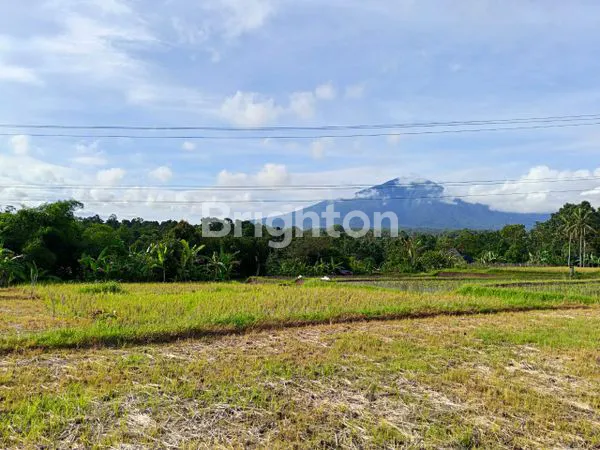 image TANAH DENGAN PEMANDANGAN ALAM PENEBEL TABANAN (1)