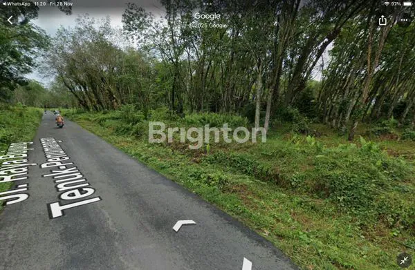 image INVESTASI TANAH PERKEBUNAN STRATEGIS MULAI DARI 100 JUTA/HA, DI MENGGALA, LAMPUNG (5)