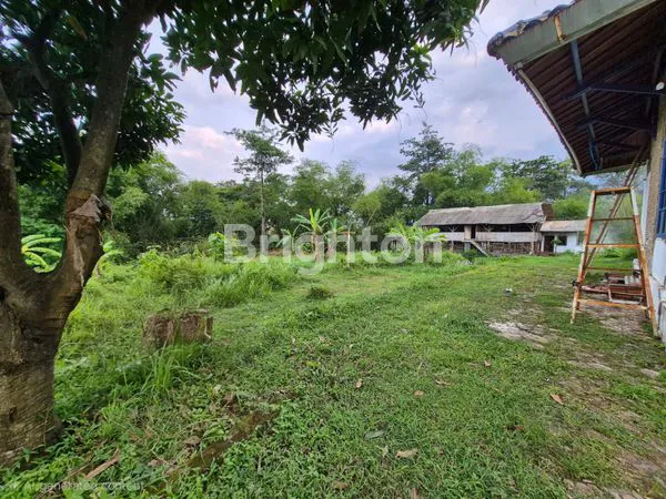 image TANAH LUAS DI CIGASONG MAJALENGKA (6)