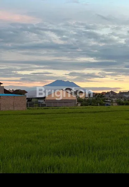 image RUMAH PREMIUM 118M², SHM, LOKASI STRATEGIS (7)