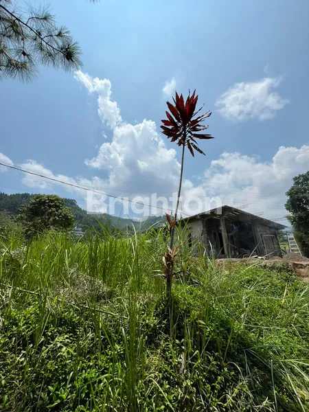image TANAH MEGAMENDUNG UNTUK VILLA (1)