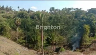 image TANAH DESA SUKOWATI GIANYAR BALI SIAP BANGUN (1)