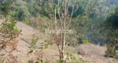 image TANAH DESA SUKOWATI GIANYAR BALI SIAP BANGUN (2)