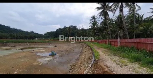 image LAHAN SHM 10 HA, AKSES MUDAH PARIWISATA (4)