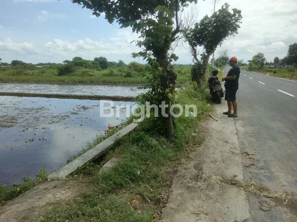 TANAH STRATEGIS DI DELANGGU DEKAT UIN RS PKU DAN GERBANG TOL
