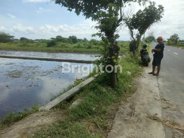 image TANAH STRATEGIS DI DELANGGU DEKAT UIN RS PKU DAN GERBANG TOL (5)