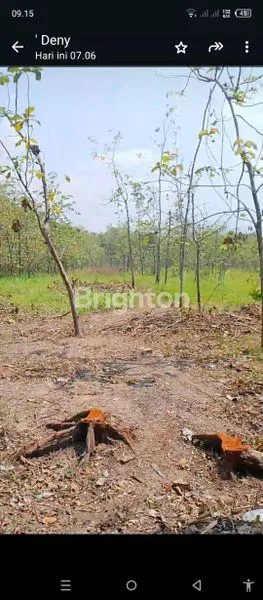 image LAHAN LUAS SHM, COCOK UNTUK USAHA (7)