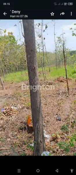 image LAHAN LUAS SHM, COCOK UNTUK USAHA (8)