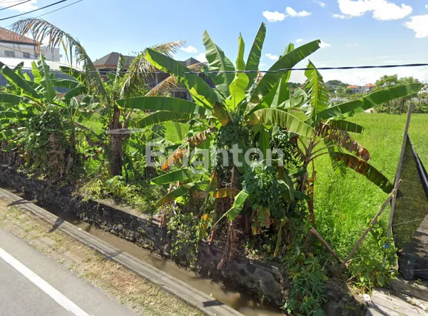 image SEWA TANAH CANGGU 10,75 ARE DI KAWASAN STRATEGIS TUMBAK BAYUH, PERERENAN – CANGGU |TS7304010 (3)