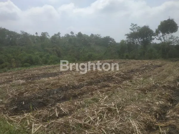 TANAH LUAS MURAH\NDEKAT LEMBAH INDAH