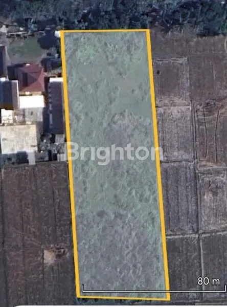 Gambar Property DIJUAL TANAH STRATEGIS DI KEC KEPANJEN