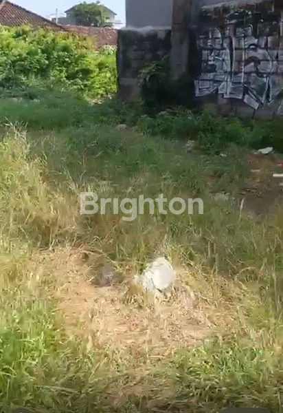 image TANAH STRATEGIS BYPASS TUBAN, COCOK UNTUK BISNIS (3)