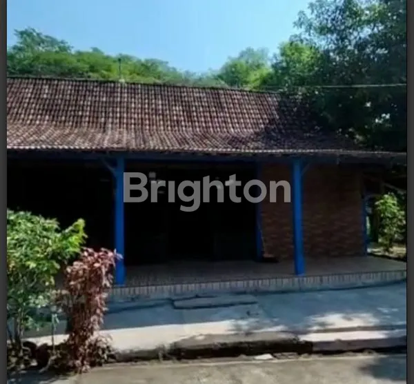 RUMAH 2250 M2 KEDUNGGALAR NGAWI