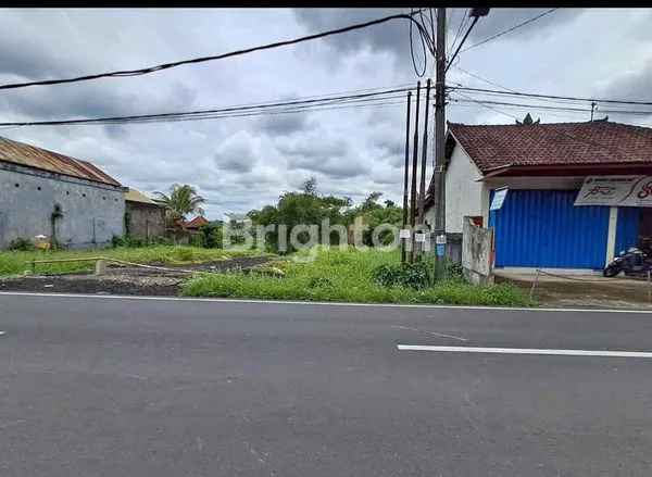 DIJUAL TANAH MENGWI 620 JUTA
