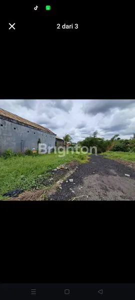 image DIJUAL TANAH MENGWI 620 JUTA (3)