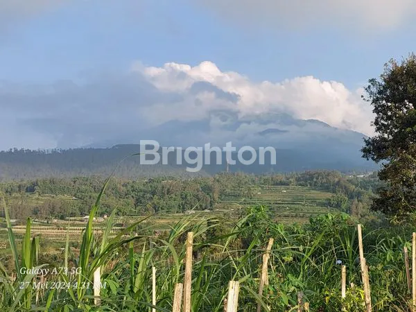 image TANAH SHM 2740M², SLOW LIVING VIEW GUNUNG TELOMOYO (4)