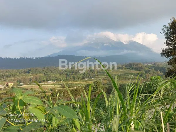 image TANAH SHM 2740M², SLOW LIVING VIEW GUNUNG TELOMOYO (5)