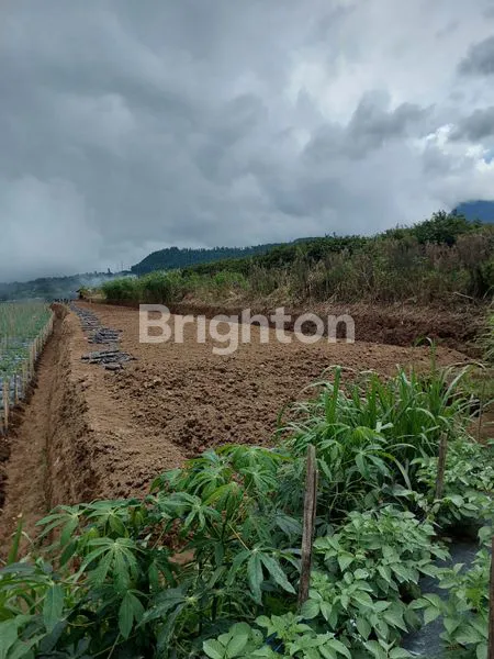 image TANAH SHM 2740M², SLOW LIVING VIEW GUNUNG TELOMOYO (2)