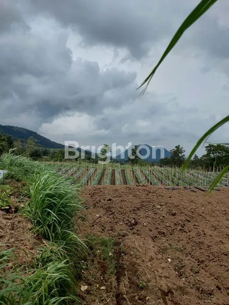 image TANAH SHM 2740M², SLOW LIVING VIEW GUNUNG TELOMOYO (6)