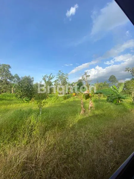 image DI JUAL TANAH LUAS BESERTA KEBUN DI KOTA SAMARINDA (2)